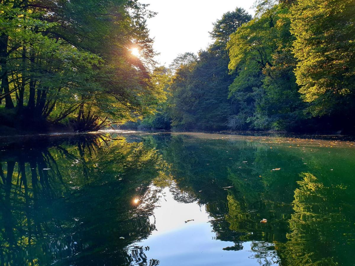 Lahinja & Kolpa River Apartments メトリカ エクステリア 写真
